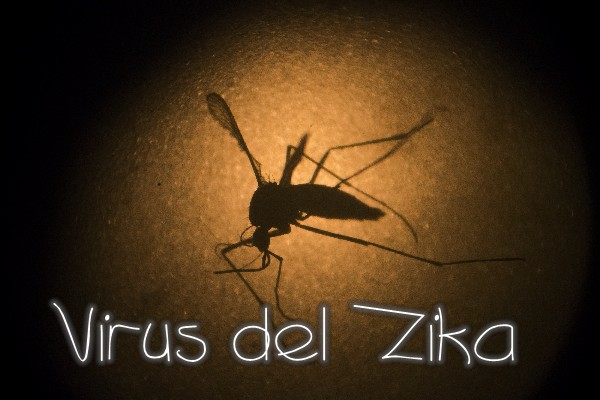 ¿Cuál es el virus de Zika?